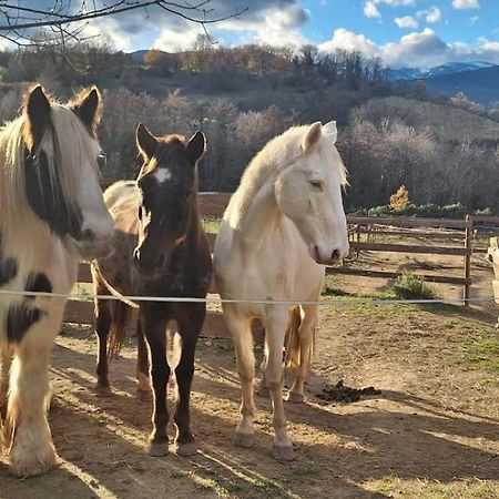 Chambre D'Hotes Le Petit Ranch Los Masos Екстер'єр фото