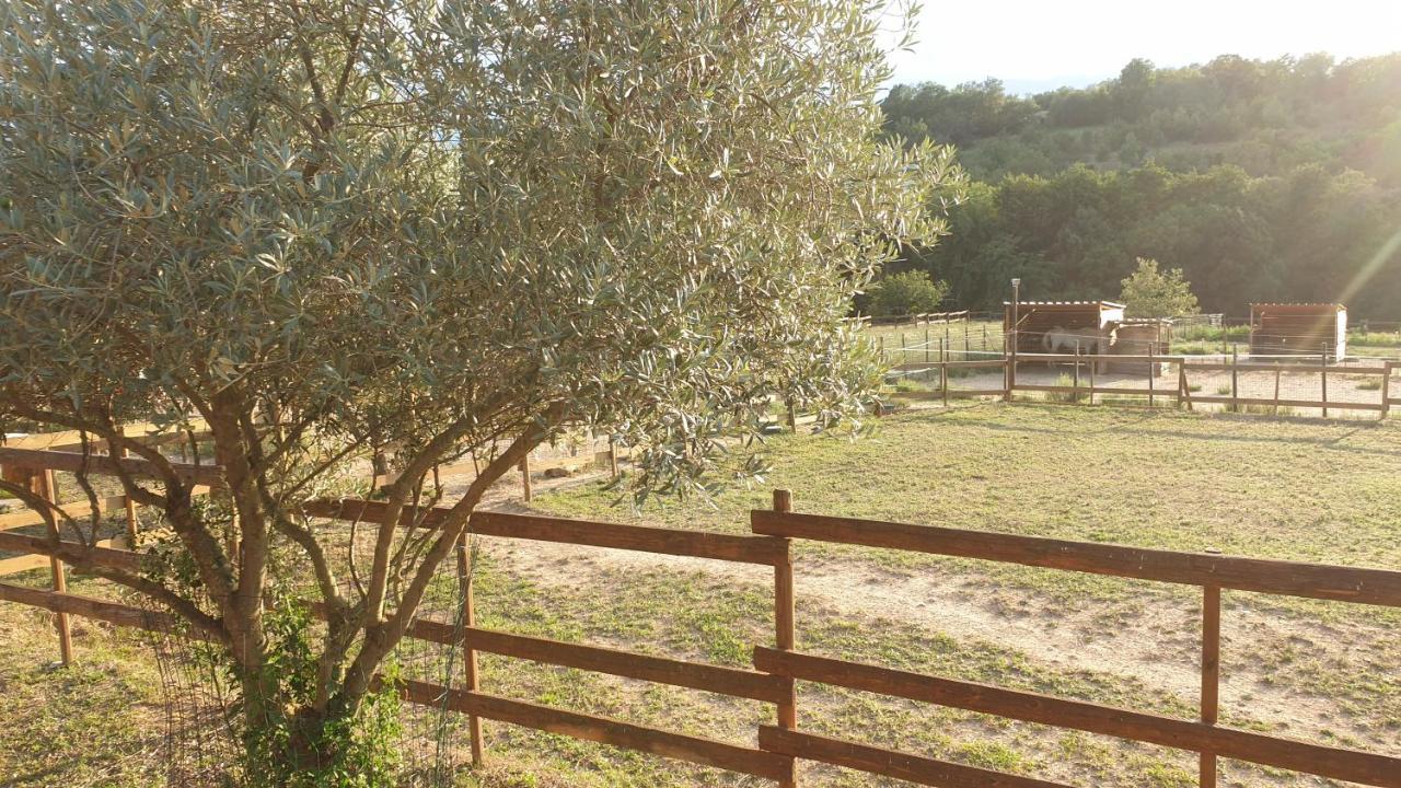 Chambre D'Hotes Le Petit Ranch Los Masos Екстер'єр фото