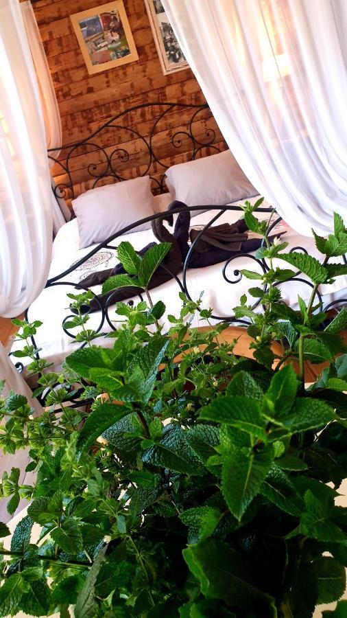 Chambre D'Hotes Le Petit Ranch Los Masos Екстер'єр фото
