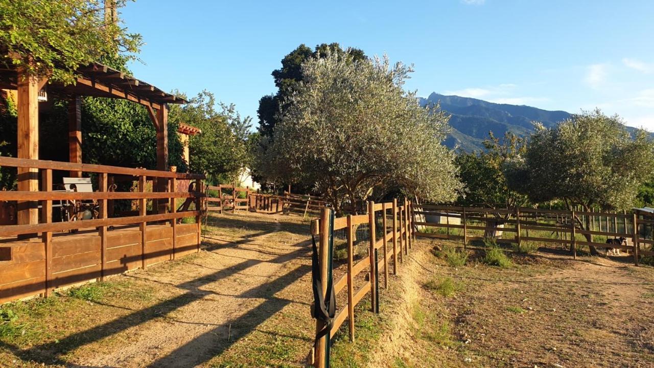 Chambre D'Hotes Le Petit Ranch Los Masos Екстер'єр фото