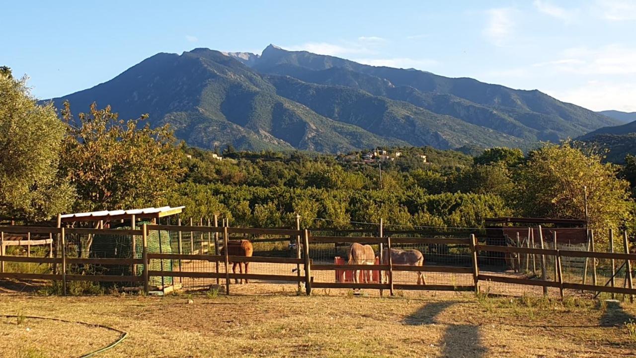 Chambre D'Hotes Le Petit Ranch Los Masos Екстер'єр фото