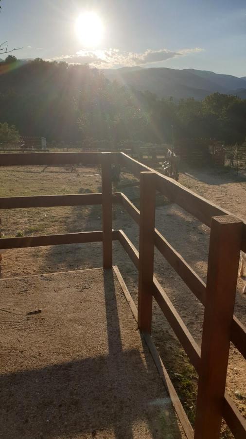 Chambre D'Hotes Le Petit Ranch Los Masos Екстер'єр фото