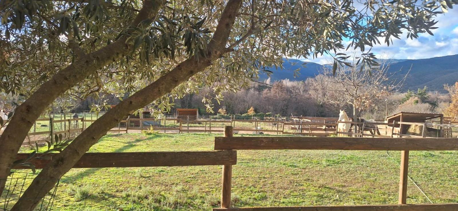 Chambre D'Hotes Le Petit Ranch Los Masos Екстер'єр фото